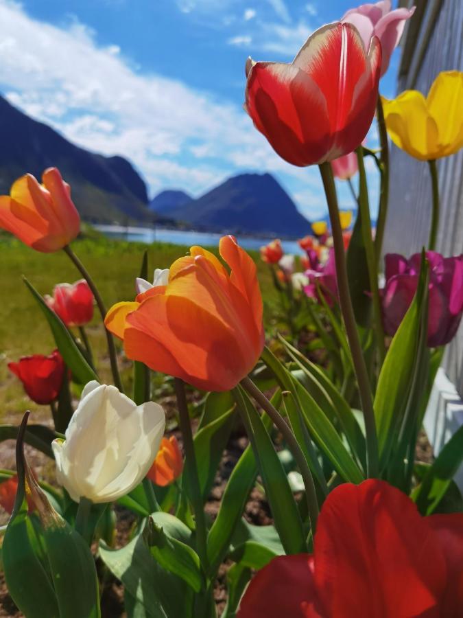 Banpim Beachside Lofoten รัมบาร์ก ภายนอก รูปภาพ